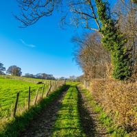 Po negotovem začetku tedna se razmere končno obračajo