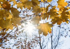 Vremenska napoved: toplo vreme se še ne bo poslovilo