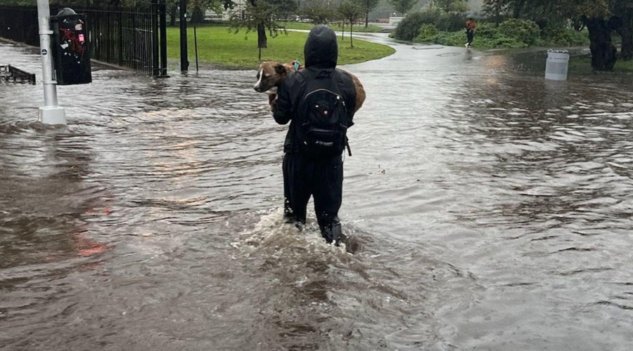 Izredne razmere v ZDA: New York pod vodo, prizadetih je 23 milijonov ljudi (VIDEO) (foto: Twitter/jason61987)