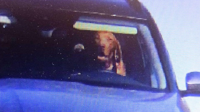 Saj ni res, pa je: policijski radar za volanom avtomobila ujel psa (foto: Facebook/Polícia SR - Trnavský kraj)