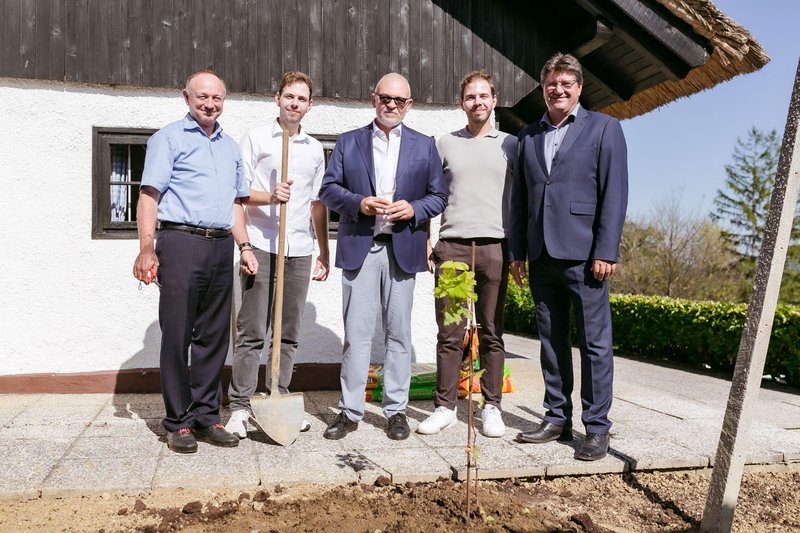 Posadili so tudi potomko najstarejše trte na svetu v Mariboru. Na fotografiji od leve proti desni: Stane Kocutar_Mark, Miha in Nik Istenič ter župan občine Brežice Ivan Molan.