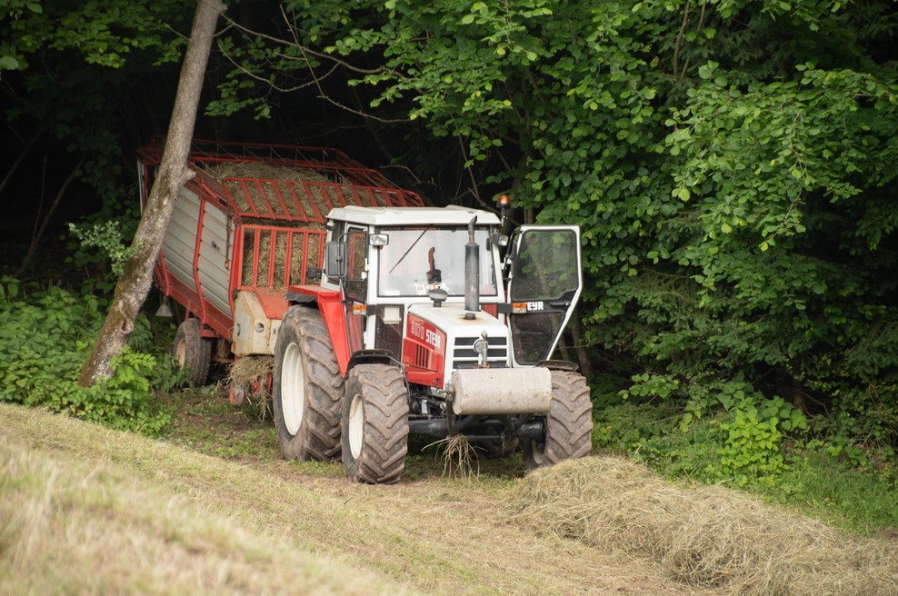 Fotografija je simbolična. (foto: Klara Bokan /BOBO)