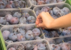 Sporno sadje: Slovenci smo poleti jedli srbske breskve in poljske slive z vsebnostjo pesticida