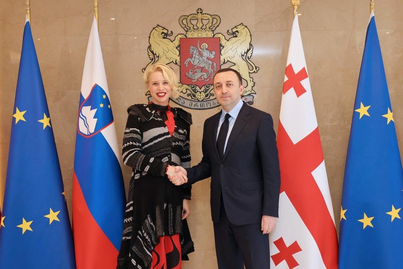 Fotografija z gruzijskim premierjem Iraklijem Garibašvilijem.