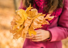 Čudež narave: ste vedeli, zakaj listje jeseni spremeni barvo?