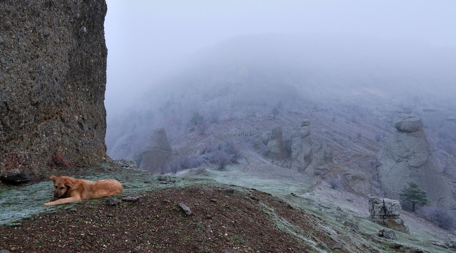Fotografija je simbolična (foto: Profimedia)