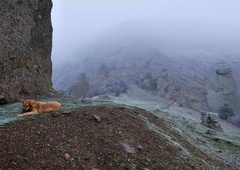 Nenavadna reševalna akcija kamniških gorskih reševalcev dobila epilog