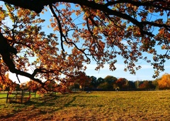Vremenska napoved: kaj nam vremenoslovci napovedujejo za današnji dan?