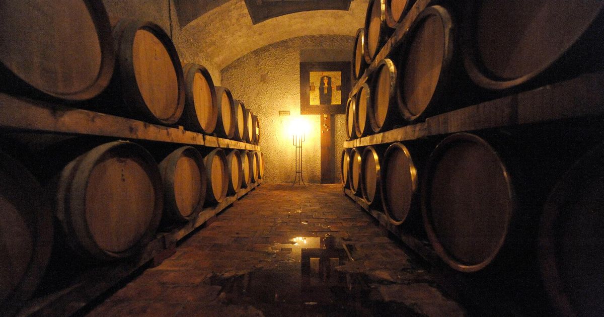 Quand les vendanges virent au cauchemar : à Slovenske Gorice, un homme s’effondre subitement dans une cave à vin