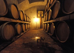 Ko trgatev postane nočna mora: v Slovenskih goricah se je moški nenadoma zgrudil v vinski kleti