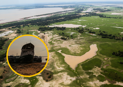 Amazonski deževni pragozd se bo kmalu spremenil v savano (vremenske spremembe prinašajo grozljive posledice za človeštvo)