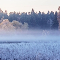 Znano je, kakšno bo vreme ta vikend: kljub decembru zime ni za pričakovati