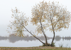 Konec obdobja neobičajno toplega vremena: dosegla nas bo izrazito hladna fronta
