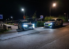 Neznanci streljali v hišo: pod streli padli dve ženski