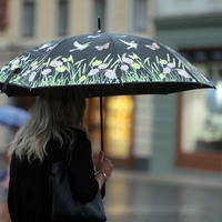 Pripravite dežnike: Slovenijo bodo kmalu zajele padavine