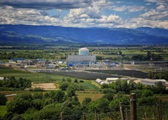 V Neku odstranjujejo gorivne elemente iz reaktorja, kdaj bo elektrarna spet delovala?