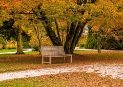 Vremenska napoved: se bomo razveselili sonca?