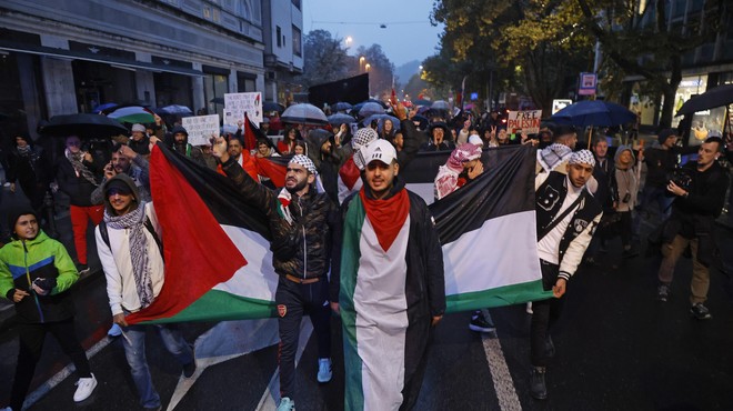 Na Trgu republike zavihrale palestinske zastave, slišijo se vzkliki "svoboda Palestini" (foto: Borut Živulovič /Bobo)
