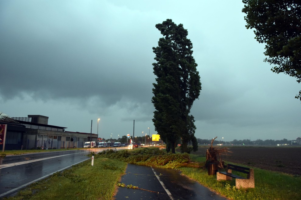 Vremenska zmeda: po kratkotrajnem mrazu spet nadpovprečno toplo, težave pa povzroča veter (foto: Tadej Kirincic/Sobotainfo/Bobo)