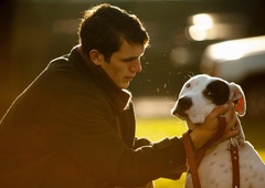 Pasji parki v  večini primerov niso najbolj varen kraj za preživljanje časa s psom