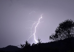 Neurje terjalo novo smrtno žrtev: po padcu drevesa na avtomobil umrla ena oseba