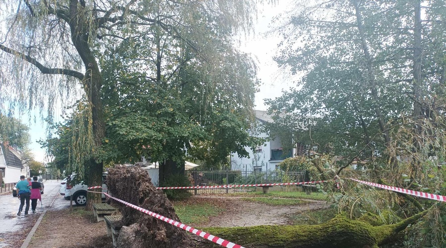 Neurje v ljubljanskem naselju povzročilo razdejanje, kot ga ne pomnijo (FOTO) (foto: Uredništvo)