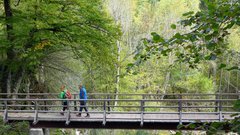 Turistka kritično o priljubljeni slovenski znamenitosti: poglejmo resnici v oči — precenjena je