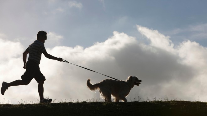 Zelo narobe je kupiti psa zato, da bo z vami fizično aktiven ("Pojdite tečt sami," pravi strokovnjakinja) (foto: Profimedia)