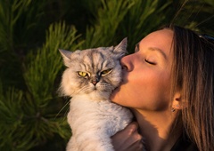 Neprijetna resnica o mačjih lastnikih (v primerjavi s pasjimi)