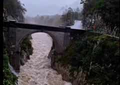 Žalosten pogled na našo smaragdno lepotico: "V teh dneh nikar na obisk"