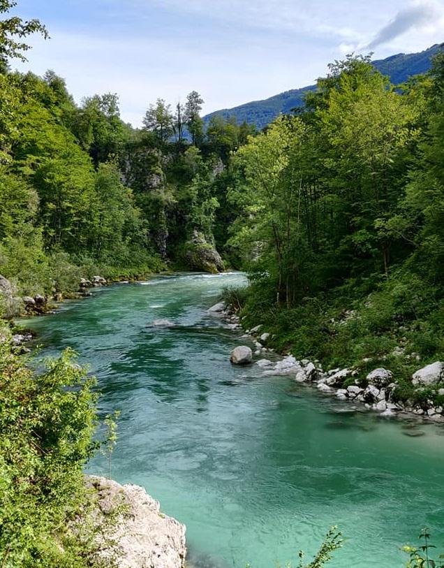 Soča bo prav gotovo že kmalu spet takšne barve, kot smo je vajeni.