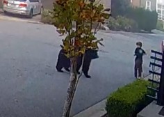 Ko zaledeni kri: medved se je pognal proti 7-letnemu dečku, sosed pa … (VIDEO)