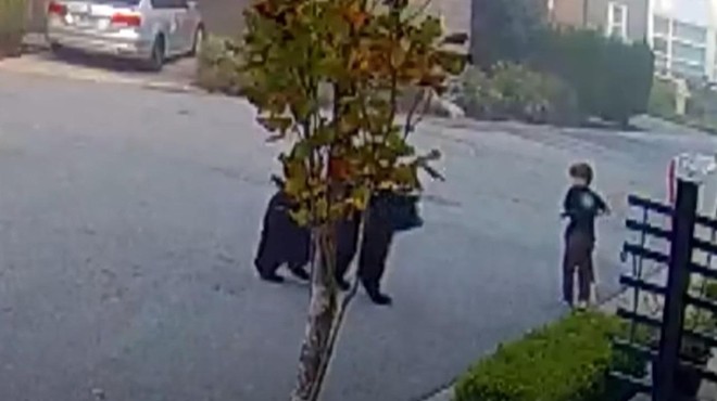 Ko zaledeni kri: medved se je pognal proti 7-letnemu dečku, sosed pa … (VIDEO) (foto: Youtube/posnetek zaslona)