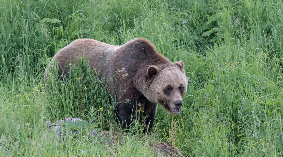 Fotografija je simbolična. (foto: Profimedia)