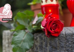 Zakaj ignoriram 1. november: prinesi mi rože zdaj in ne takrat, ko me bodo glodali črvi