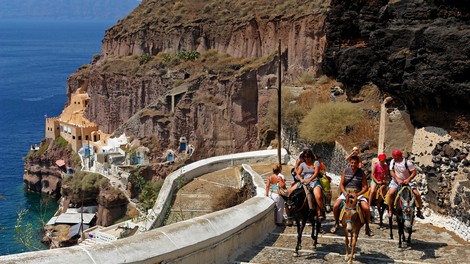 Grški Santorini na udaru: ogromno trpečih živali na račun 'lenih' turistov