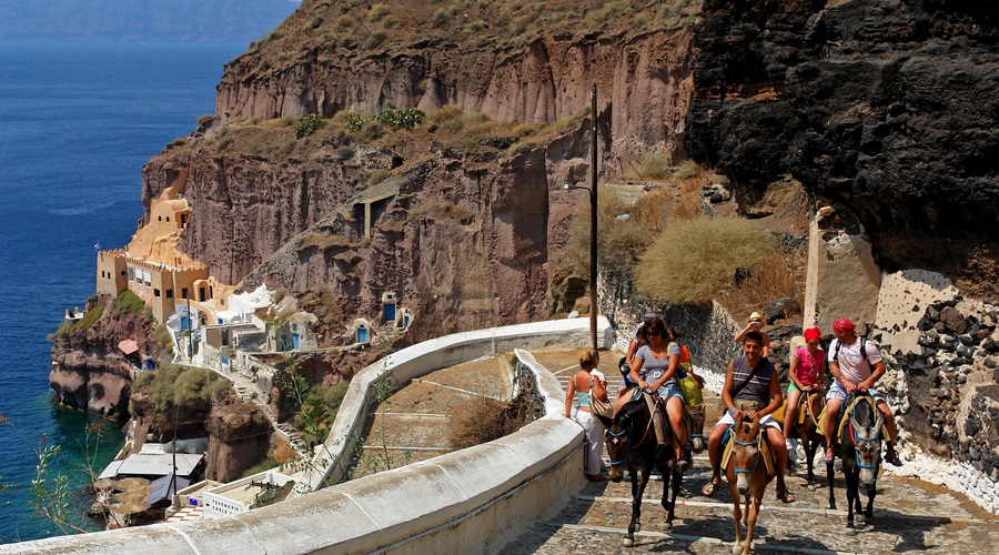 Grški Santorini na udaru: ogromno trpečih živali na račun 'lenih' turistov (foto: Profimedia)