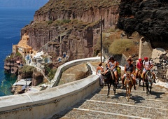 Grški Santorini na udaru: ogromno trpečih živali na račun 'lenih' turistov