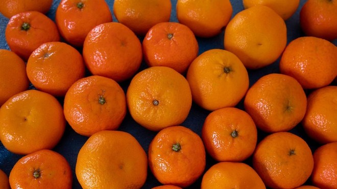 Zaradi nevarnega pesticida ponovno uničili pošiljko mandarin (foto: Profimedia)