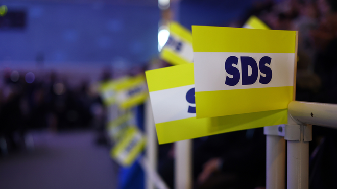 Zaveze stranke SDS, ki omejuje delovanje njihovih poslancev, niso podpisali kar trije člani poslanske skupine (foto: Borut Živulovič/Bobo)