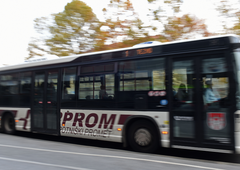 V Mariboru neznanec s pištolo za paintball streljal na mimovozeči avtobus (v vozilu na srečo ni bilo potnikov)