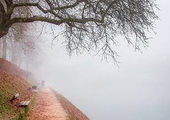 Kljub hladnemu vikendu nas bo razveseljevalo dokaj suho vreme: ponekod bo nedeljsko jutro megleno, pojavila se bo slana