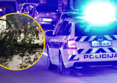 Drama v Šempetru pri Gorici: med martinovanjem se je na prizorišču podrlo drevo (ena oseba je poškodovana)