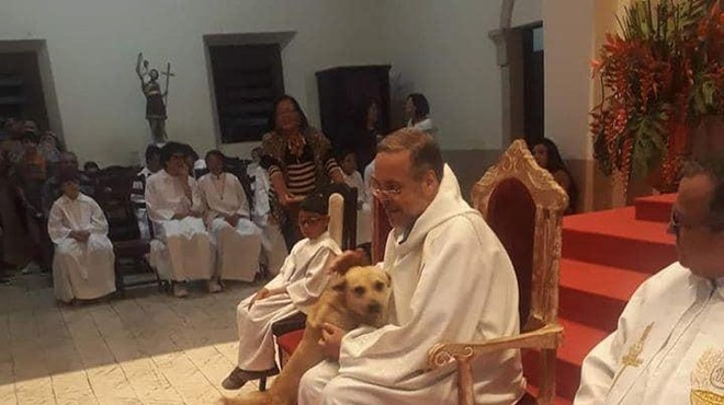 Brazilski duhovnik med vsako mašo predstavi enega potepuškega psa – in mu najde dom! (foto: PadreJoao Paulo Araujo Gomes/Facebook)
