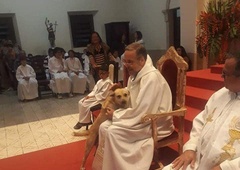 Brazilski duhovnik med vsako mašo predstavi enega potepuškega psa – in mu najde dom!