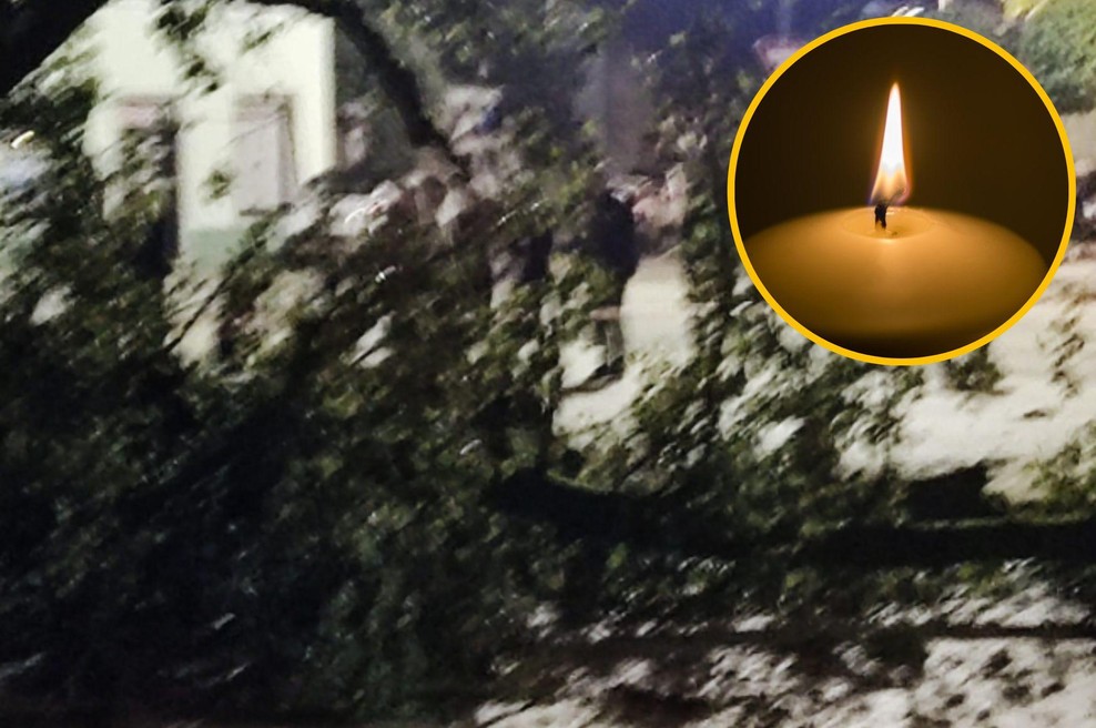 Tragično: med martinovanjem na starejšo gospo padlo drevo, zaradi hudih poškodb je umrla (foto: Facebook/fotomontaža)