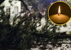 Tragično: med martinovanjem na starejšo gospo padlo drevo, zaradi hudih poškodb je umrla