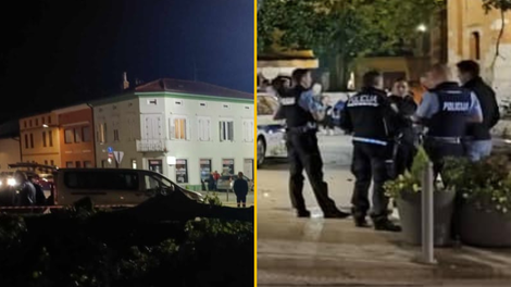 martinovanje Šempeter pri Gorici podrto drevo