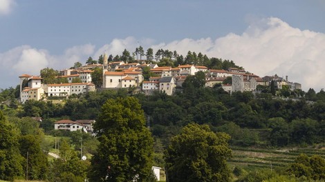 vipava