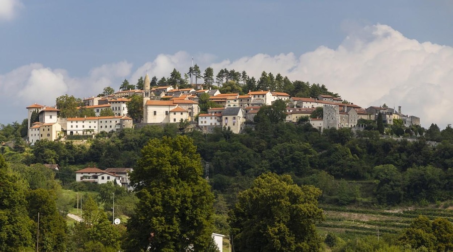 Bo Vipava dobila digitalni Da Vincijev muzej? (Posvečen bo posebnim elementom) (foto: Profimedia)